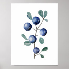 Poster Oeuvre d'aquarelle aux fruits bleus