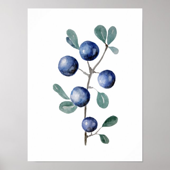 Poster Oeuvre d'aquarelle aux fruits bleus (Devant)