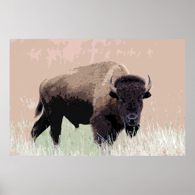 Poster Oeuvre d'art américaine de Bison Buffalo (Devant)