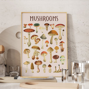 Poster Œuvre d'art murale de graphique de champignons vin