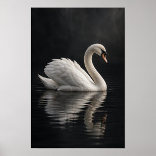 Poster Œuvre d'art murale représentant un cygne tuberculé