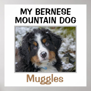 Poster OEuvre murale de chien personnalisée