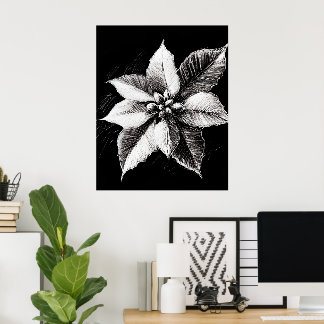 Poster OEuvre murale de Poinsettia