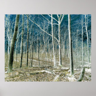 Poster Off the Path version 1