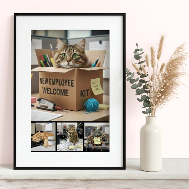 Poster Office Fun Cats Photo Poster, Business Cat (Office Fun Cats Meme Poster / Motivational Business Decor)