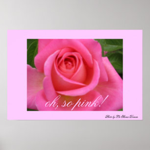 Poster oh, si rose !