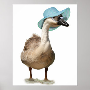 Poster Oie avec un Casquette d'été bleu disquette
