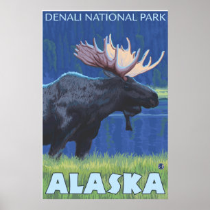 Poster Oie de nuit - Denali Nat'l Park, Alaska