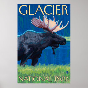 Poster Oie de nuit - Parc national des Glaciers, MT