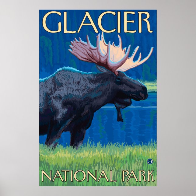 Poster Oie de nuit - Parc national des Glaciers, MT (Devant)