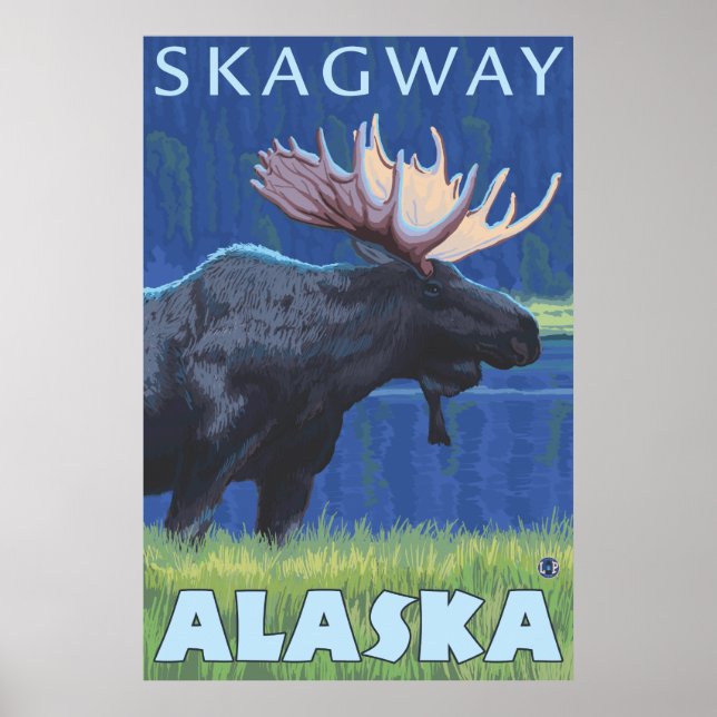 Poster Oie de nuit - Skagway, Alaska (Devant)
