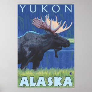 Poster Oie de nuit - Yukon, Alaska