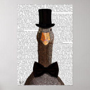 Poster Oie distinguée