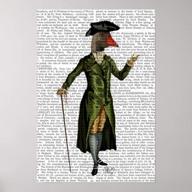 Poster Oie en Green Regency Manteau (Devant)