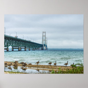 Poster Oies au puissant Mac