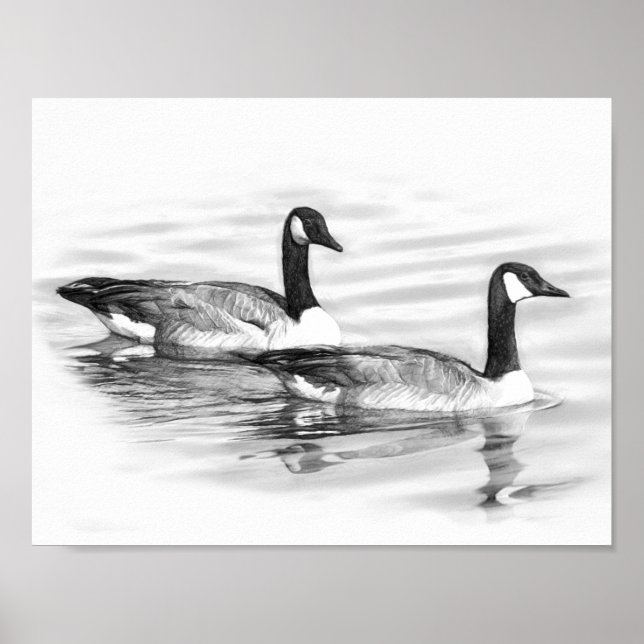 Poster Oies sur l'eau (Devant)