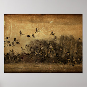 Poster Oies Vintage Sepia Wildlife Texture