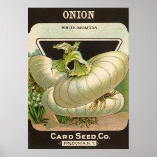 Poster Oignons de Bermudes blancs de graine de paquet