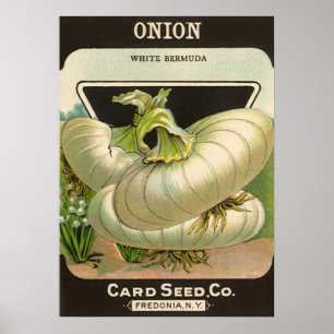 Poster Oignons de Bermudes blancs de graine de paquet