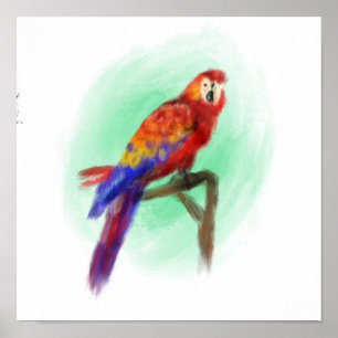 Poster Oiseau 3