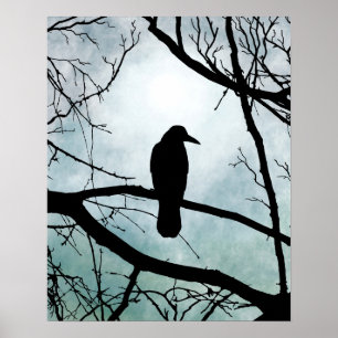 Poster oiseau 77 Corbeau