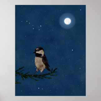 Poster Oiseau, Bécasseau, Lune, Étoiles, Gros Plongeur, N