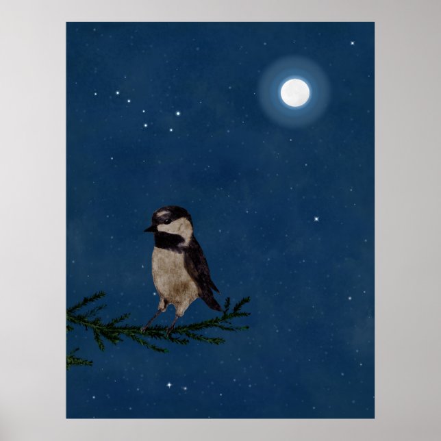 Poster Oiseau, Bécasseau, Lune, Étoiles, Gros Plongeur, N (Devant)
