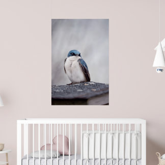 Poster Oiseau Bleu