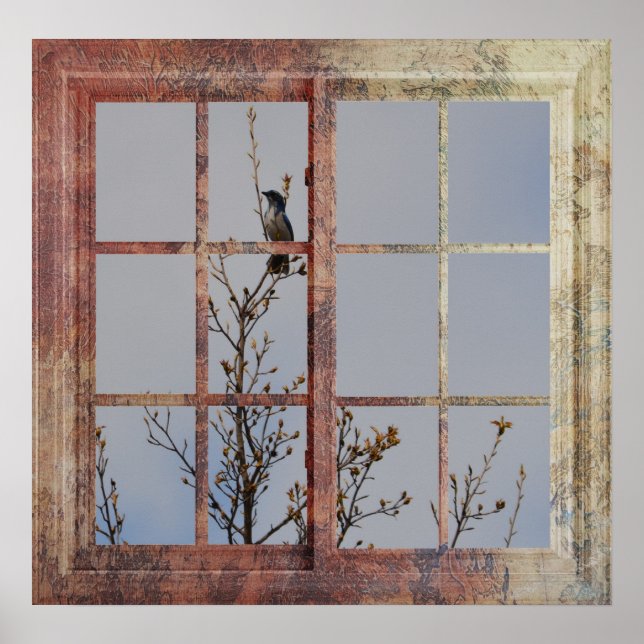 Poster Oiseau bleu dans la fenêtre (Devant)