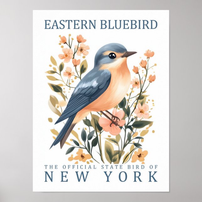 Poster Oiseau bleu de l'Est de New York États-Unis (Devant)