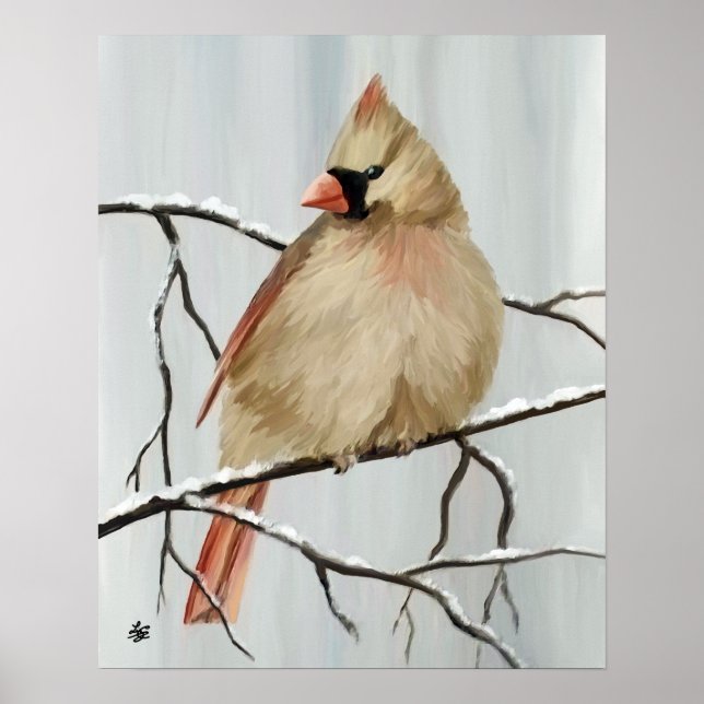 Poster Oiseau Cardinal Du Nord En Hiver (Devant)