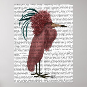 Poster Oiseau crêté de Marsala