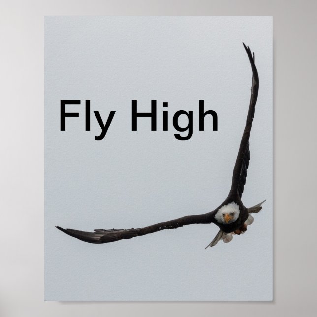 Poster Oiseau d'aigle à chauve Inspiration de vol Nature (Devant)