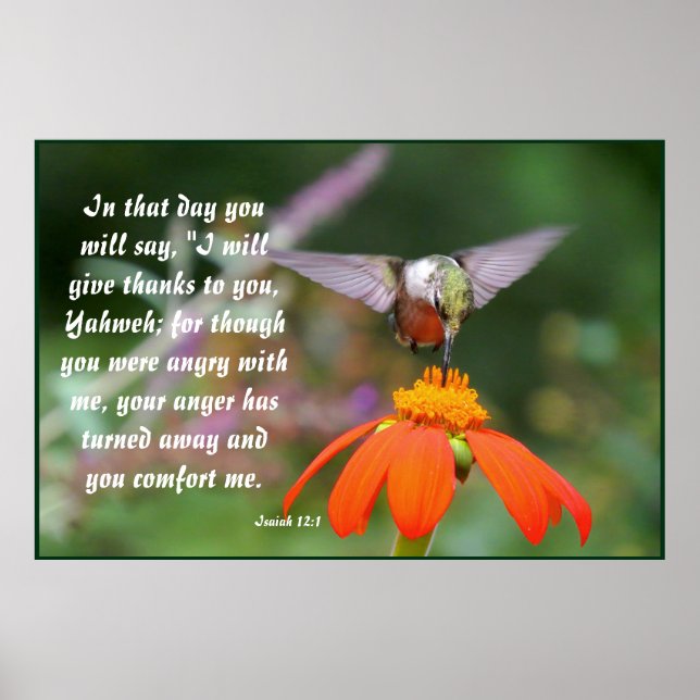 Poster Oiseau de colibri Fleur Floral Isaiah 12:2 (Devant)