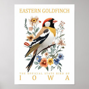 Poster Oiseau de Goldfinch oriental Iowa USA Travel