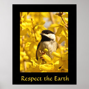 Poster Oiseau de jour des terres en fleurs jaunes Imprime