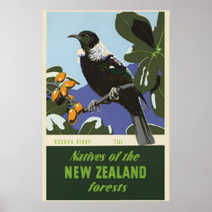 Poster Oiseau de la forêt néo-zélandaise baie de Karaka a