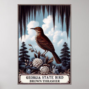 Poster Oiseau de l'État de Géorgie - Moqueur roux Vintage