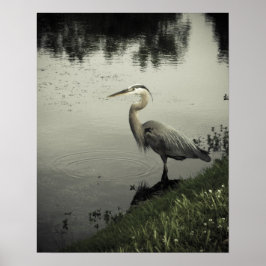 Poster Oiseau de marais sur le rivage