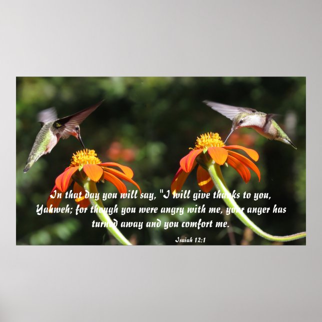 Poster Oiseau de mer Fleur Floral Isaiah 12:2 Confort (Devant)