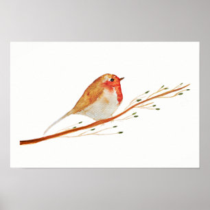 Poster Oiseau de Robin d'aquarelle