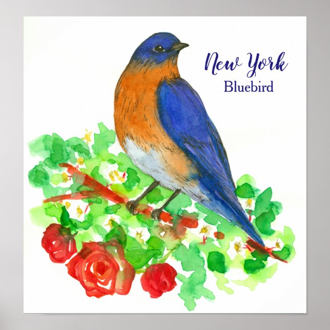 Poster Oiseau d'État de New York (Devant)