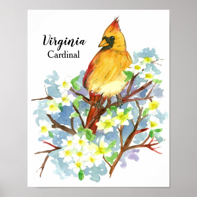 Poster Oiseau d'État de Virginie Femme Cardinal Aquarelle (Devant)