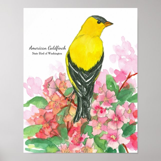 Poster Oiseau d'État de Washington American Goldfinch Jau (Devant)