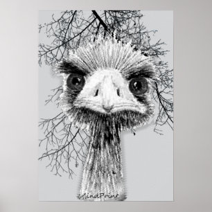 Poster Oiseau en colère