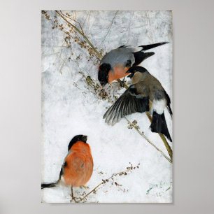 Poster Oiseau en Neige, Bruno Liljefors