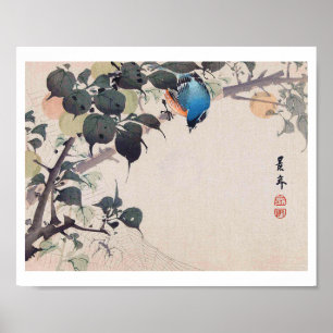 Poster Oiseau et araignée, Imao Keinen