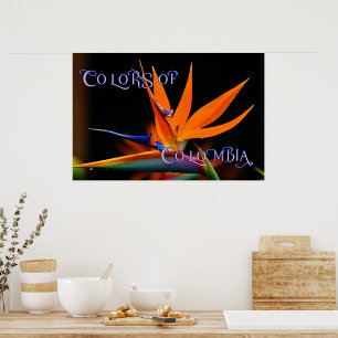 Poster Oiseau flamboyant du Paradis Fleur