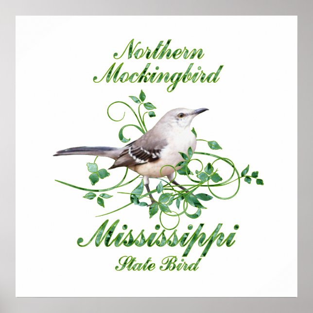 Poster Oiseau Mockingbird Mississippi State Bird (Devant)