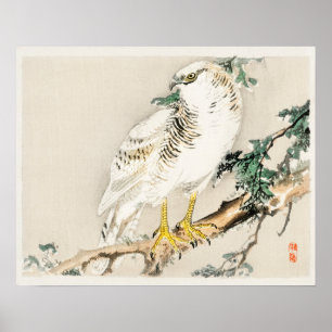 Poster Oiseau moqueur du Nord par Kōno Bairei (1844-1895)
